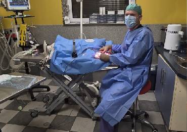 Chirurgia i ortopedia weterynaryjna