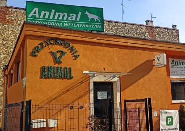 Diagnostyka weterynaryjna na miejscu